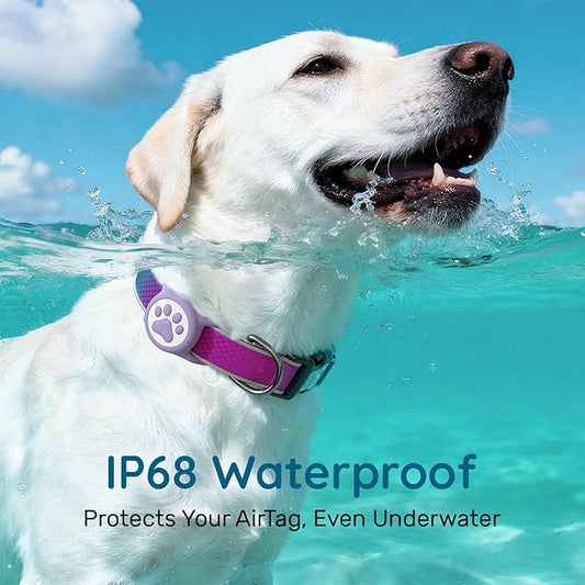 Reflective Dog Collar with Waterproof Air tagholder & Anti-Lost QR Code | Ultra-Durable | Soft Padded | Safety Locking Buckle | Fit Large Dogs (Purple L(15.7"-23.6"))