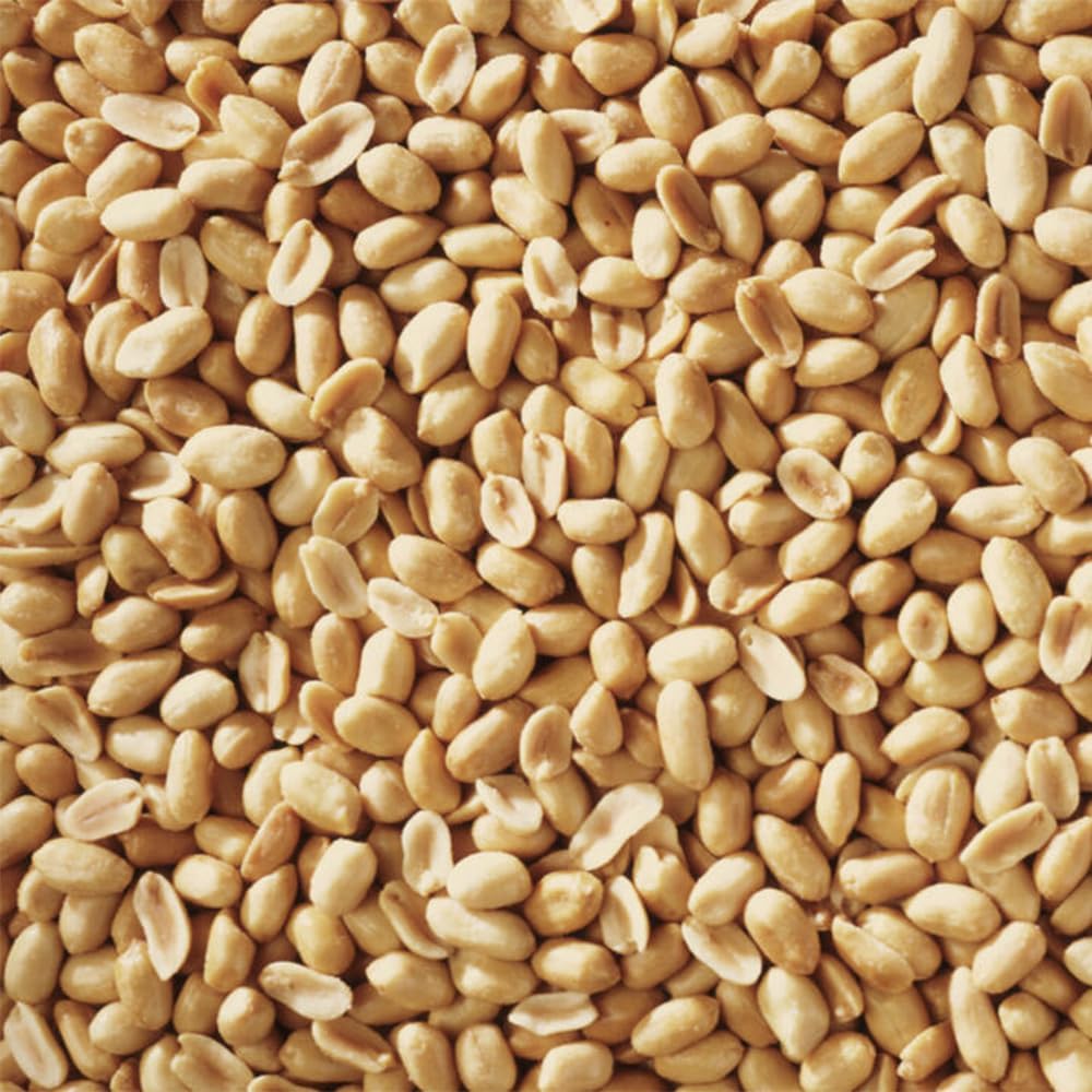 Shelled Peanuts Seeds Wild Bird Food - 5 Pounds I No Grow Seed I Bird Seed for Wild Birds