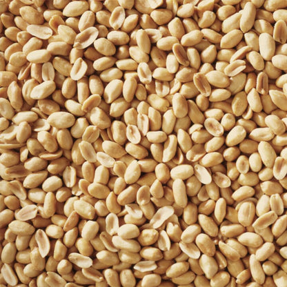 Shelled Peanuts Seeds Wild Bird Food - 5 Pounds I No Grow Seed I Bird Seed for Wild Birds