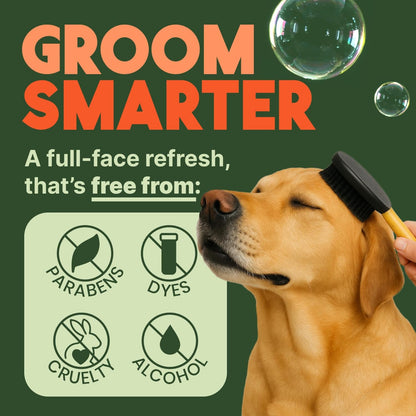 TropiClean No Rinse Waterless Dog Shampoo | Detangling & Deodorizing Dry Shampoo for Smelly Pets | Moisturizes Dry Skin | USA Made | Papaya Scent | 7.4oz