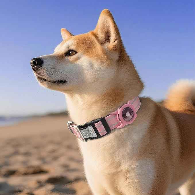Airtag Dog Collar with QR Code, Reflective Dog Collar with Airtag Holder, Soft Padded & Safety Locking Buckle Adjustable Pet Collar for Medium Dogs