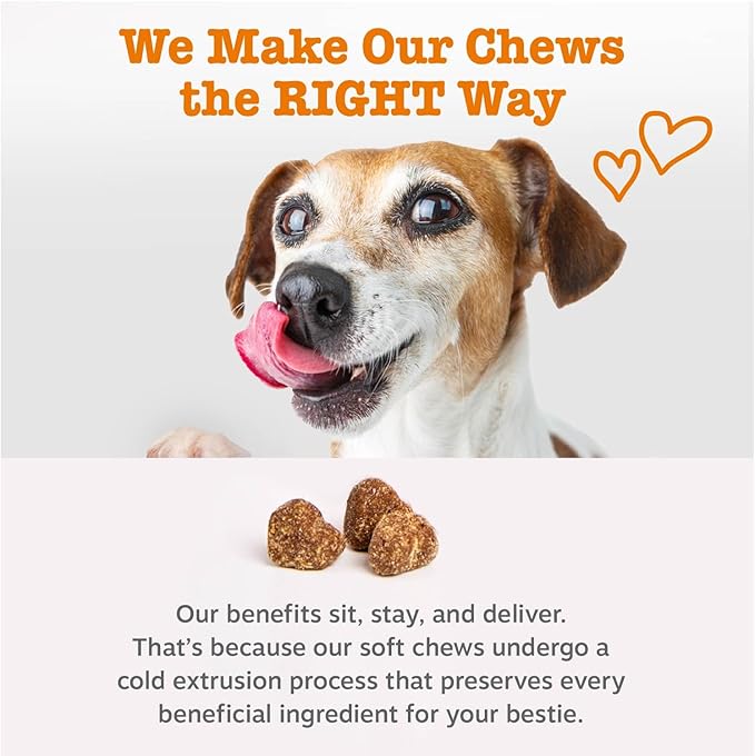 Zesty Paws Dog Allergy Relief Chews, Dog Probiotics for Itchy Skin and Ears, Lamb, Mini, 90ct