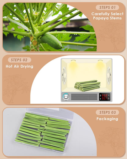 Bissap 25 PCS Guinea Pigs Chew Sticks, Natural Papaya Stems Bunny Chews Treats for Hamsters Chinchillas Small Animals Organic Molar Chewing Snack