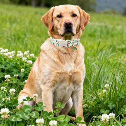 DOGWONG St Patrick's Dog Collar, Green Clover Pet Collar Cotton Flower Shamrock Pet Collar Cute Puppy Collar Adjustable Pet Dog Collars for Small Dogs