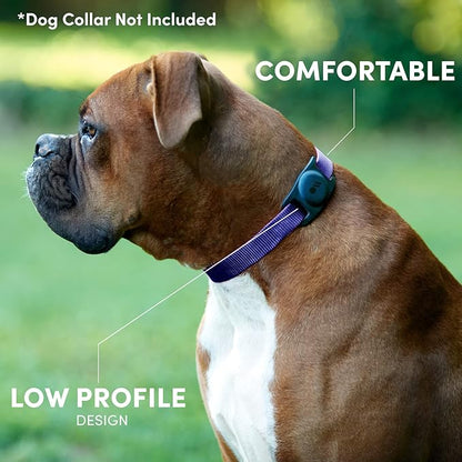 Case-Mate 2 Pack Airtag Dog Collar Holder - Durable, Water Resistant, Lightweight, and Protective Airtag Holder Tag - Easy to Insert Pet Collar Air Tag Loop - Compatible with Cat/Dog Collars - Black