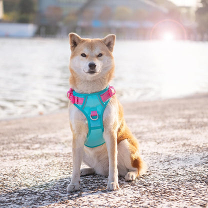 PHOEPET No Pull Dog Harness, Unique Colors Reflective Adjustable Dog Vest, with Soft Training Handle Metal Clips for Small Medium Large Dogs (Mint Green Base & Pink Straps,XL)