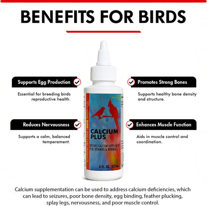 Morning Bird Calcium Plus Liquid Supplement for Birds - Liquid Calcium Formula with Magnesium and Vitamin D3 Calcium Supplement for All Birds – 8 Fl Oz