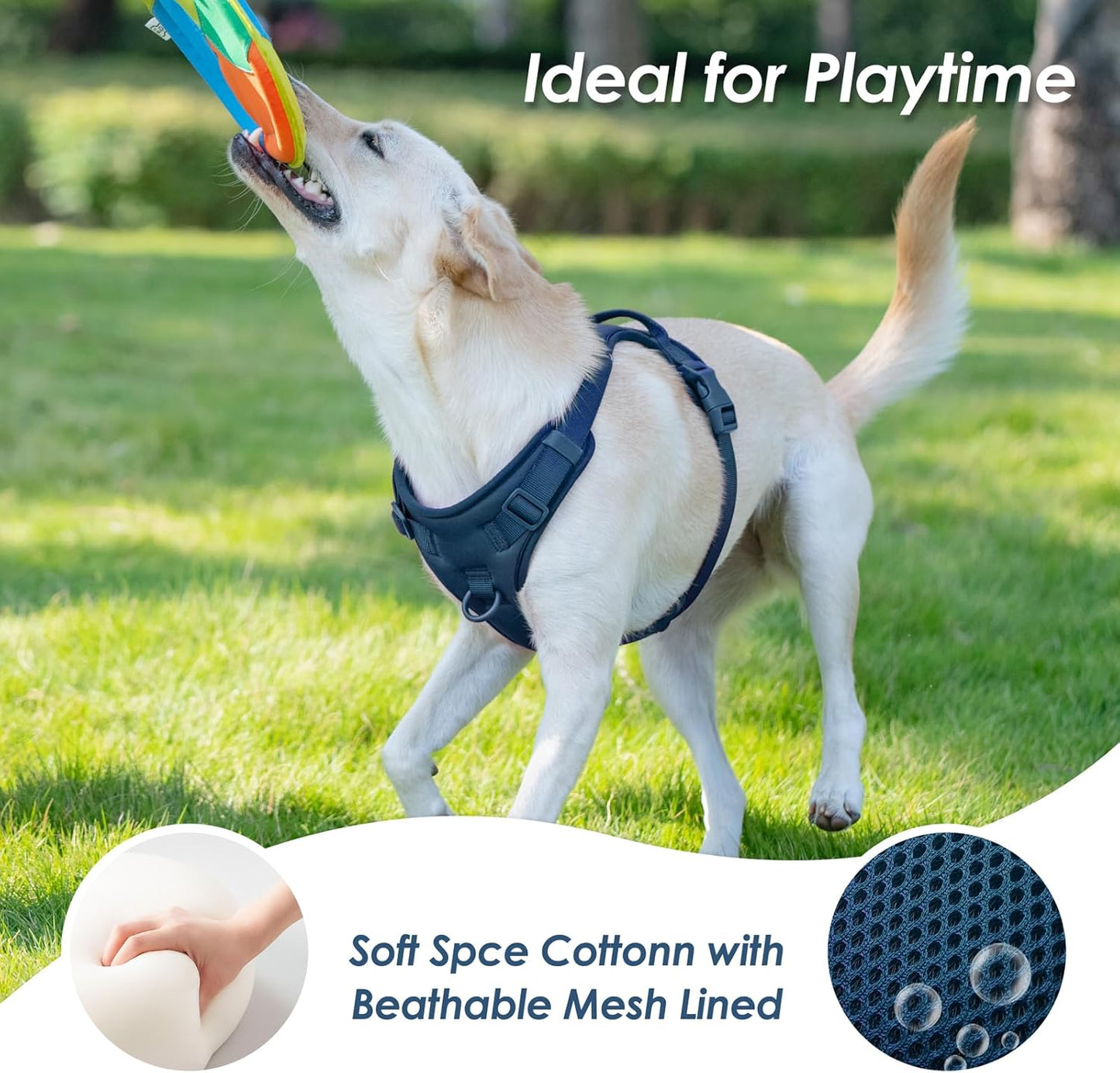 No Pull Dog Harness, Puppy Vest with Front Clip for Small Medium Large Sized Dog(Prussian Blue,M)