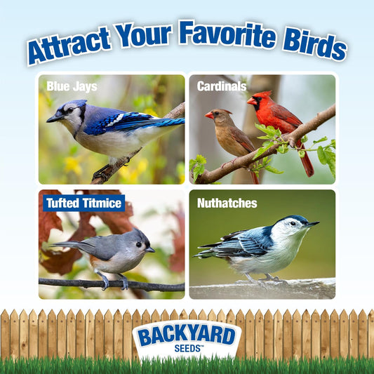 CountryMax Sunflower Chips Medium Sized Shelled No Waste Bird Seed