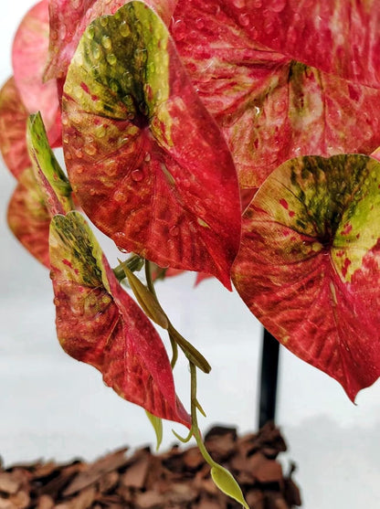 2 Pack Reptile Plants for Terrarium Decor, Amphibian Habitat Decor, Reptile Tank Accessories, Artificial Hanging Plants with Suction Cup (Red Arrowhead)