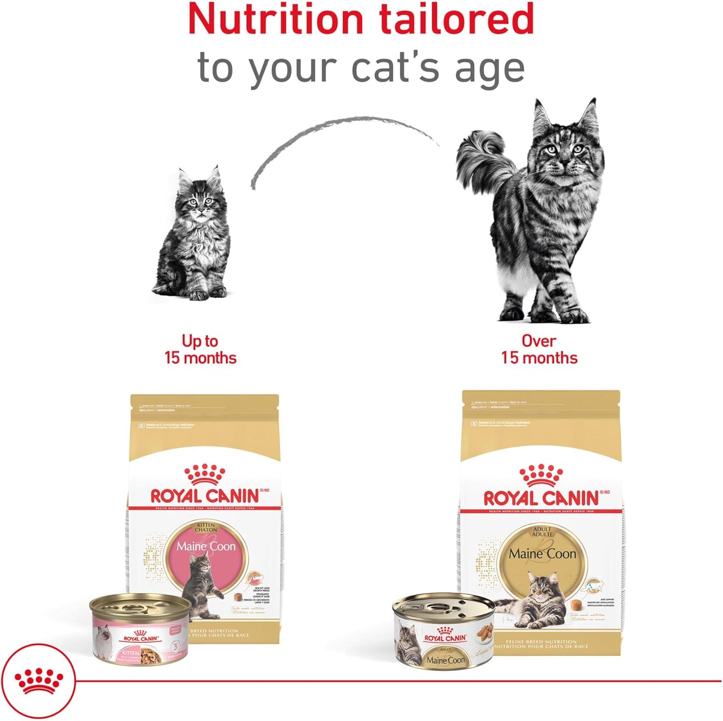 Royal Canin Feline Breed Nutrition Maine Coon Adult Thin Slices in Gravy Canned Cat Food, 3 oz can (24-count)