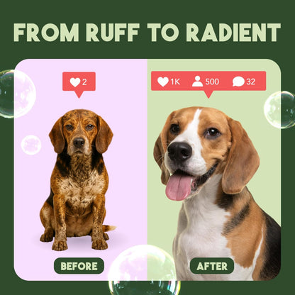 TropiClean Dog Conditioner, Professional Detangling & Moisturizing Conditioner, Puppy Safe, Made in the USA, Kiwi & Cocoa Butter Scent, 1 Gallon