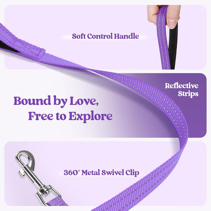 rabbitgoo Dog Harness Small Sized and Leash Set, Step in Soft Light Puppy Vest, Breathable Mesh Pet Harness, Reflective for Outdoor Safe Walking, Purple XL