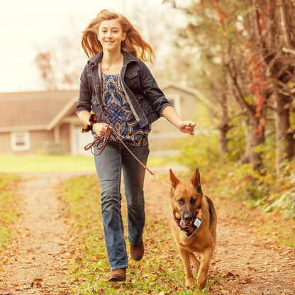 E-Clover Fall Dog Bandana & Scrunchie Set - Thanksgiving Pet Scarf Kerchief Bibs for Medium Large Dogs - Maple Leaves