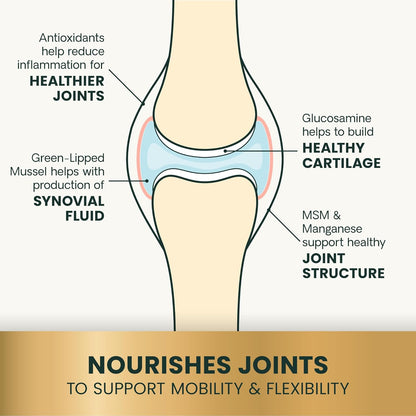 VetriScience Glycoflex 3 Clinically Proven Hip and Joint Supplement for Dogs - Maximum Strength Dog Supplement with Glucosamine, MSM, Green Lipped Mussel & DMG - 120 Chewable Tablets, Chicken Flavor