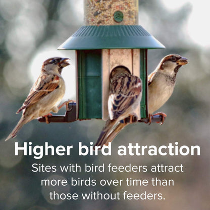 Blue Seal Song Nature's Choice Wild Bird Seed | High Energy Mix, No Filler | Sunflower and White Safflower Seeds | Attracts Variety of Wild Outside Birds | Shell-Free Mix | Made in USA | 8 Pound Bag