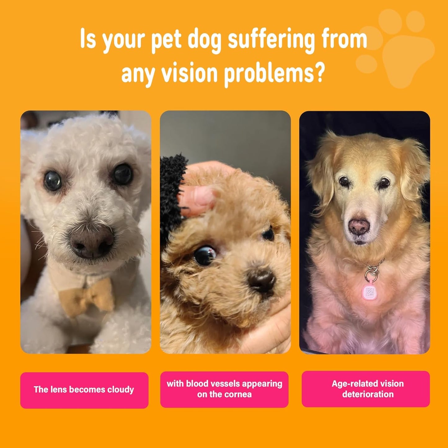 Eye Supplements for Dogs - Vision Support Soft Chews with Lutein, DHA & Vitamin C | 120ct Salmon Flavor Tear Stain Chews | Cataract & Dry Eye Relief Supplement (120 Ct, Salmon)