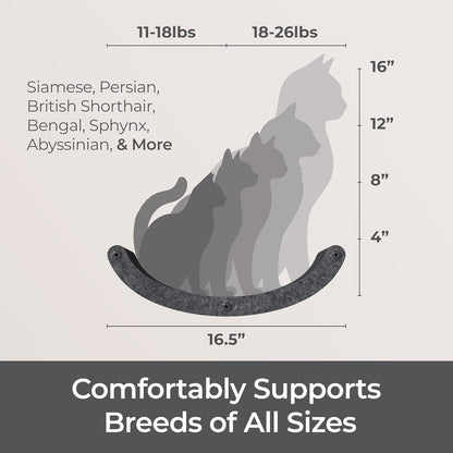 Wall Mounted Cat Hammock Bed by Pryde Pets - Floating Perch Curved Shelf, 100% Sustainable PET Felt Feline Enrichment Climber Furniture for Indoor Cats, Modern Climbing Gym Jungle Design (Charcoal)