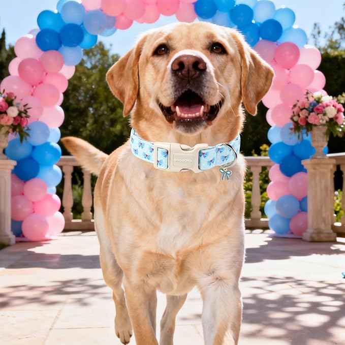 DOGWONG Blue Dog Collar, Cute Blue Boy Dog Collar Adjustable Soft Male Female Pet Dog Collar Bowtie Printed Puppy Necklace for Small Dogs