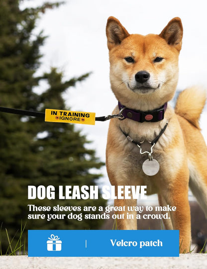 Training Ignore Dog Sleeve - Funny Yellow Leash Wrap Alert Hanging ID Patch Tag, Service Dog Leash Wrap, Pet Birthday Gifts