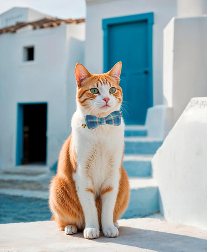 2 Pack Soft Cotton Cat Collars with Bowtie and Bell Breakaway Plaid Cat Kitten Collar(Ocean Blue and Mocha Tweed)