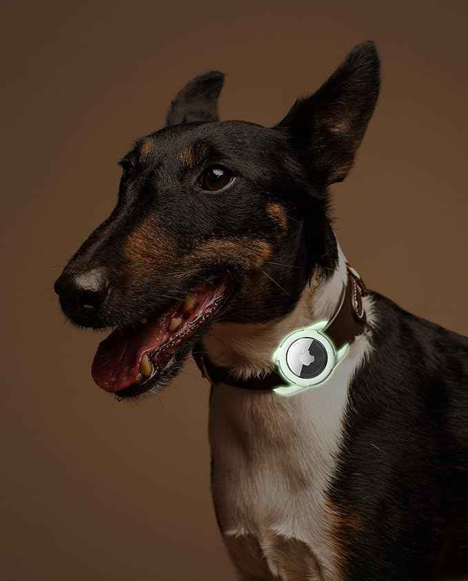 Waterproof Airtag Dog Collar Holder, Silicone & ABS Airtag Holder for Dog & Cat Collars, Ultra-Durable, Lightweight and Protective Airtag Case (Luminous, Small)
