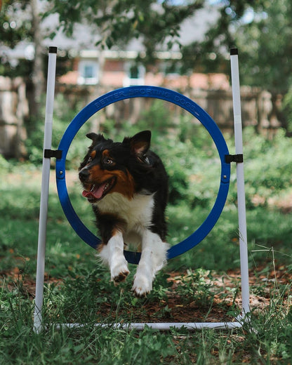 Better Sporting Dogs 4 Pack Adjustable Dog Agility Jumps w/Safety-Focused Features | 2 Bar Jumps with Cup Strips | 2 Breakaway Tire Jumps