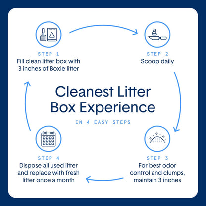Boxie® Probiotic 40 Day Natural Odor Control Cat Litter, 16lb Clumping Clay Kitty Litter (Pack of 2)