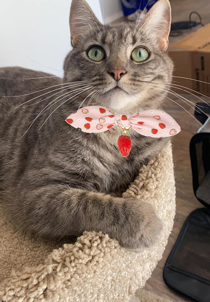 2 Pack Breakaway Cat Collars with Cute Bunny Ear Bowtie and Bell, Bow Tie Kitty Collars for Female Girl Cats(Yellow Bee & Pink Strawberry)