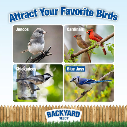 CountryMax Backyard Seeds 1984 Heritage Mix – Premium Bird Seed Blend with Black Oil Sunflower, White Millet & Cracked Corn – Wild Bird Food for Cardinals, Finches, Chickadees & More (14 Pounds)
