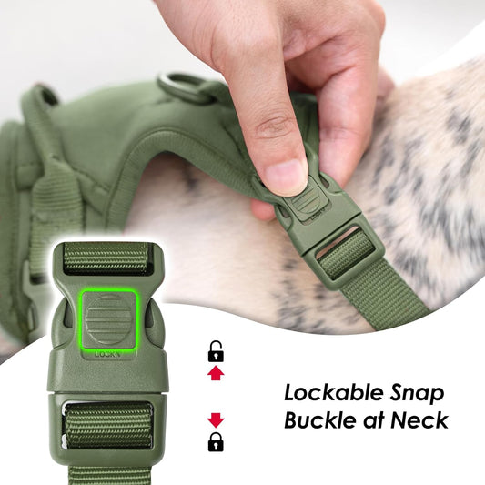 No Pull Dog Harness, Puppy Vest with Front Clip for Small Medium Large Sized Dog (Misty Green,XL)