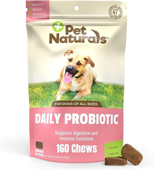 Pet Naturals Probiotics for Dogs – 160 Soft Chews, Dog Probiotic for Digestive & Gut Health Support with 120M CFUs + Prebiotics, Immune Support for Occasional Upset Stomach, Duck Flavor, All Breeds