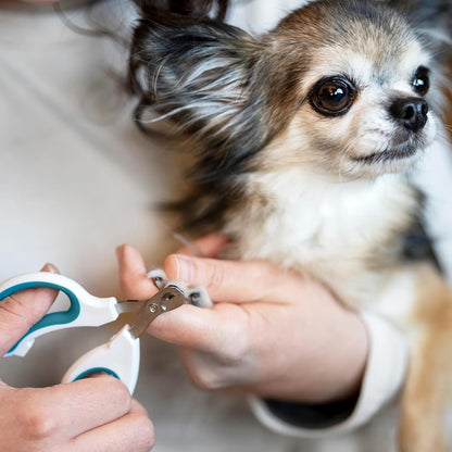 Cat Nail Clipper, Durable Stainless Steel Cat Nail Trimmer with Sharp Blade and Anti-Slip Handle, Professional Small Animal Claw Clippers for Cats Kittens Dogs Rabbits Guinea Pigs