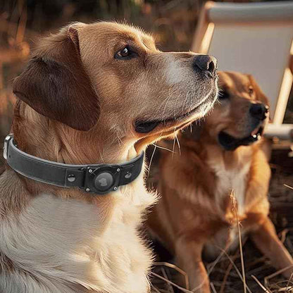 Leather AirTag Dog Collar, Waterproof Dog Collar with Air Tag Holder, Compatible with Apple Air Tag, Reflective, Durable, Comfortable Padded GPS Dogs Collars (Black, L)