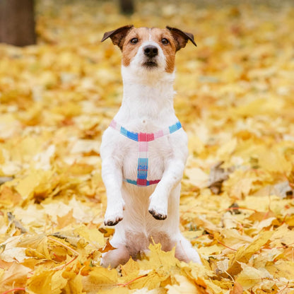 PUPTECK No Pull Dog Harness Soft Adjustable Basic Nylon Step in Puppy Vest Outdoor Walking with ID Tag, Striped Pink, S