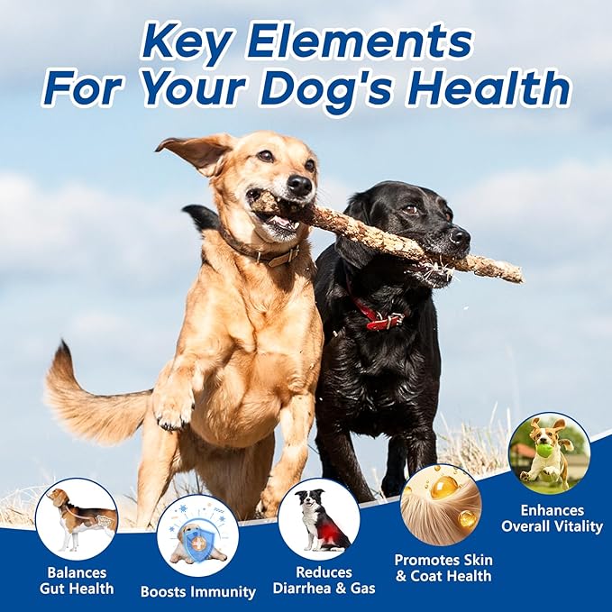 Probiotics for Dogs Dog Probiotic Chews for Yeast Gut Digestive & Immune Health, Itch Relief Ears Skin & Coat with 11Billion CFU Probiotics, 6 Enzymes& 4 Prebiotics, Pumpkin, Omegas & Vitamins, 200ct