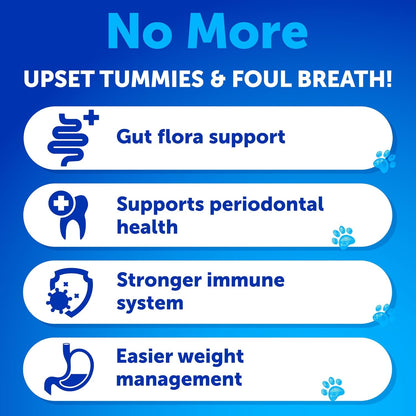 No Poo Chews for Dogs - Coprophagia Stool Eating Deterrent - Stop Eating Poop Treats with Probiotics, Digestive Enzymes, Pumpkin - Prevent Dog, Puppy from Eating Poop - Gut Health Support Supplement