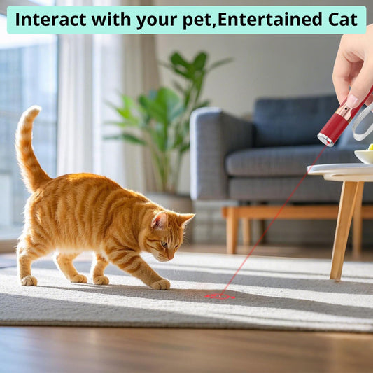 TBTeek Cat Toys for Indoor Cats, 2 Pieces, Rechargeable, 7 Adjustable Patterns, Interactive Kitten Pet Dog Chase Toy for Cats Fun Playing Exercise๏ผRed๏ผ