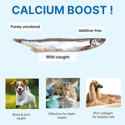 Puppyluv Treat - Freeze Dried Capelin Dog & Cat Treats, Rich Fish Oil with Omega 3 Fatty Acides to Support Skin and Coat, Whole Fish, Grain Free, 2.3oz