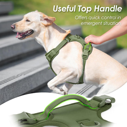 No Pull Dog Harness, Puppy Vest with Front Clip for Small Medium Large Sized Dog (Misty Green,XL)
