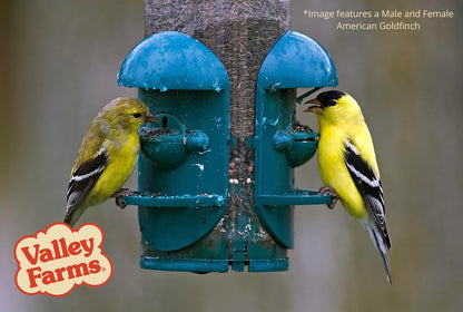 Valley Farms Nyjer Seed Wild Bird Food (4 LB) for Outside Feeders, Thistle Bird Seed for Outside Feeders, Great for Wild Finch!