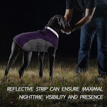 FUAMEY Dog Coat for Medium Dogs,Waterproof Dog Winter Jacket with Harness Built in Puppy Cold Weather Coats Reflective Pet Vest with Zipper Warm Fleece Dogs Snowsuit Windproof Purple M