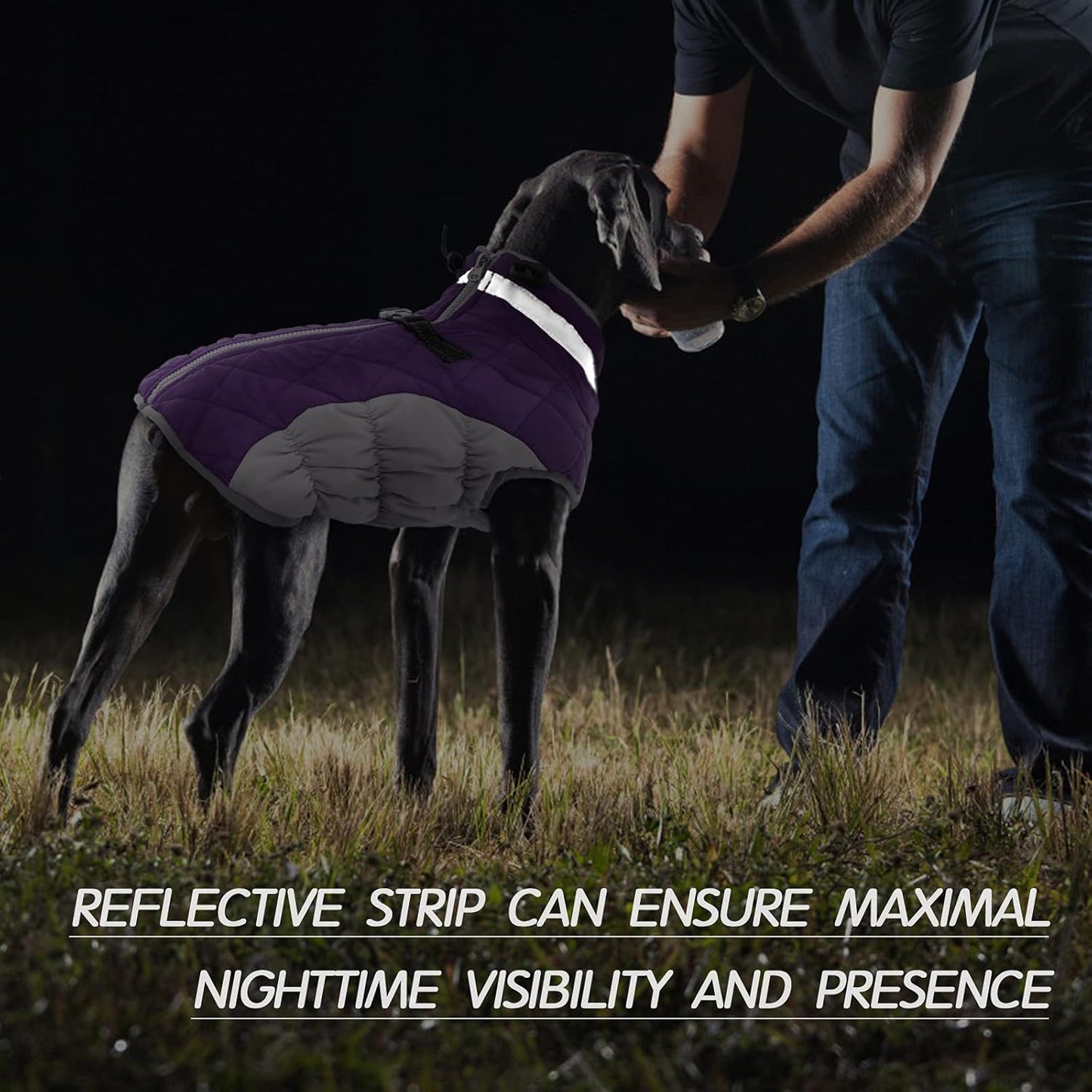 FUAMEY Dog Coat for Large Dogs,Waterproof Dog Winter Jacket with Harness Built in Puppy Cold Weather Coats Reflective Pet Vest with Zipper Warm Fleece Dogs Snowsuit Windproof Purple XL