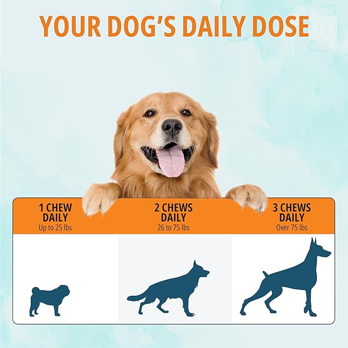 NOVEHA Dog Glucosamine Chews | Hip and Joint MSM Formula for Dogs Joint Care | Senior Pet Joint Health Supplement | Premium Glucosamine and Chondroitin for All | 2PK - 90 Soft Chews; Chicken Flavor