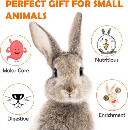 Sofier Timothy Hay Sticks - 44Pcs Natural Chews for Teeth - Handmade Rabbit & Guinea Pig Toys - Chinchilla, Rat, Hamster, Gerbil