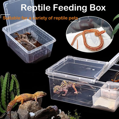 2 Pack Reptile Box Escape-Proof Breeding House Portable Reptile Terrarium Habitat for Reptile Crickets Snails Hermit Crabs Baby Tortoise Snakes Tarantulas Geckos Frogs Lizards (S and L)