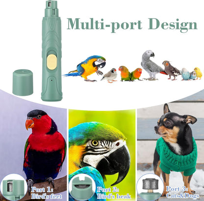Lasnten 2 Pcs Bird Nail Grinder with Bird Nail Clipper Bird Nail Trimmer Bird Nail File with LED Lamp Grooming Tool for Bird Parrot Budgerigars Parakeets Myna Conure Finches Lovebirds (Green)