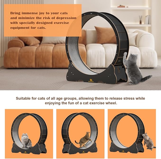Cat Wheel, 48" XL Large Cats Exercise Running Wheel, Cat Treadmill for Indoor Cats