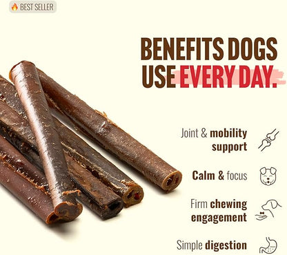 Natural Farm Odor-Free Bully Coated Gourmet Collagen Sticks (6 Inch, 10 Pack), Real Bully Beef Coated, 95% Natural Collagen, Supports Healthy Joints, Skin & Coat - Best for Small & Medium Dogs