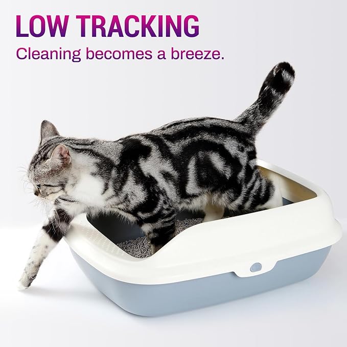 Ducksky Tofu Cat Litter Fast Clumping 5in1, Natural Plant-Based flushable Lightweight tofu Litter for Kitty, Effective Odor Control,unscented pellets, 99% Dust- Free,Low Tracking,(6.6LB x 1 Pack)